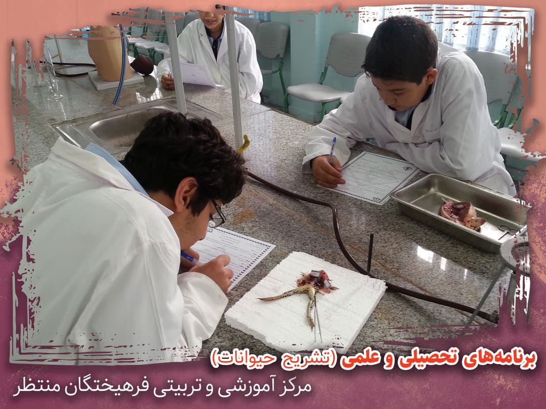 تصویر مقاله